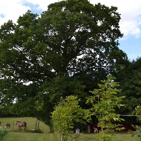 Prázdninový dům 07 *